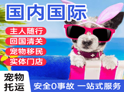阆中古城机场邮寄国际宠物托运 【国